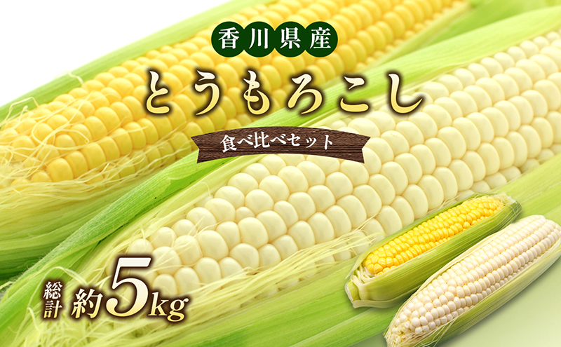とうもろこし食べ比べセット　約5kg
