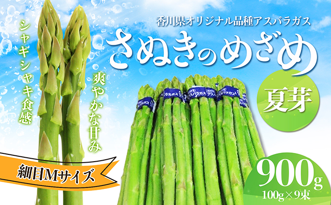 アスパラガス【さぬきのめざめ】夏芽Mサイズ900g