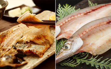 瀬戸内のお魚【干物】詰め合わせ