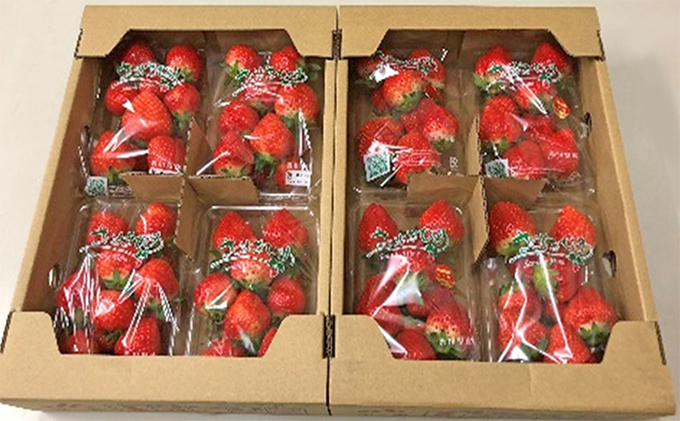 香川県オリジナル品種！さぬきひめ苺　2kg※クレジット決済のみ