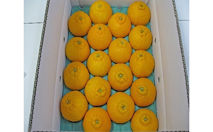 デコポン　約5kg※クレジット決済のみ