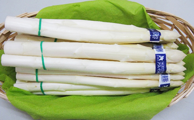 ホワイトアスパラガス