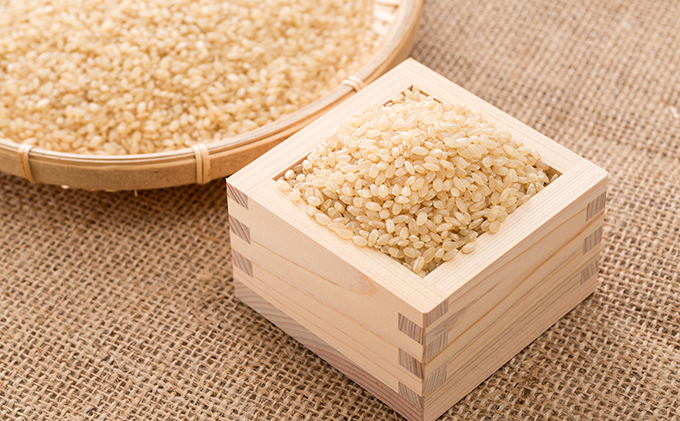 令和2年新米予約【減農薬特別栽培米（水主米）玄米15kg】