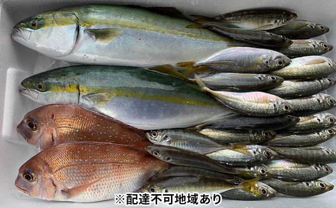 朝捕れ直送！！瀬戸内のお魚詰合せ