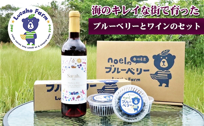 海のキレイな街で育ったブルーベリーとワインのセット