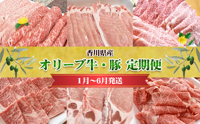 香川県産　オリーブ牛、豚　500ｇ　定期便（1月～6月） 牛肉 お肉 豚肉 毎月届く 半年 6回お届け すき焼き ロース しゃぶしゃぶ 焼肉 とんかつ 切り落とし