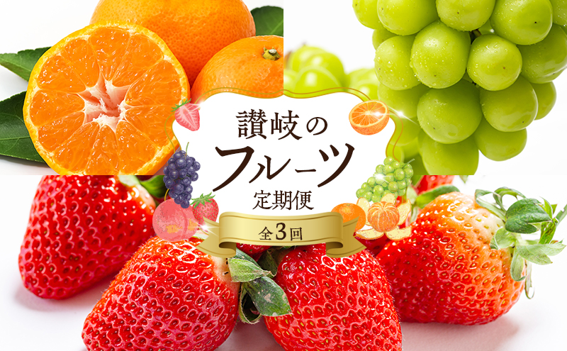 フルーツ 定期便 3ヶ月 果物 旬のフルーツ 旬の果物 香川県産 さぬきひめ シャインマスカット 温州みかん いちご ぶどう マスカット みかん 3回 お楽しみ 香川 香川県 東かがわ市