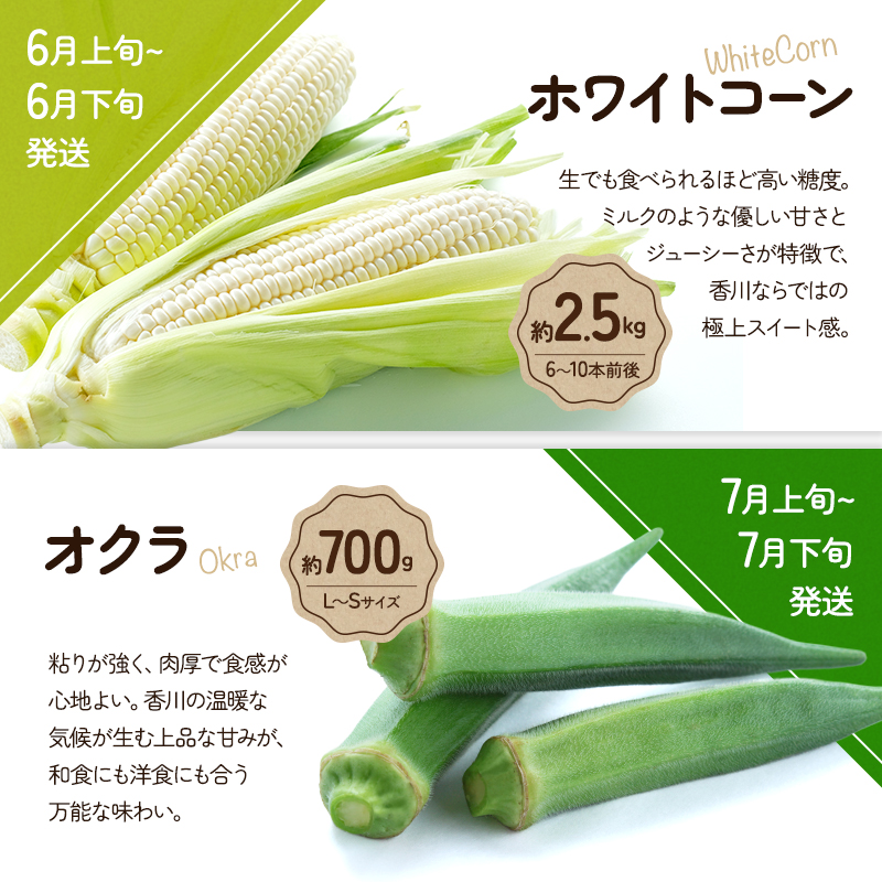旬のさぬきの野菜定期便（5回）　野菜 定期便 旬 新鮮 食べごろ 季節 ブロッコリー アスパラ ホワイトコーン オクラ ミニトマト 香川県 東かがわ市