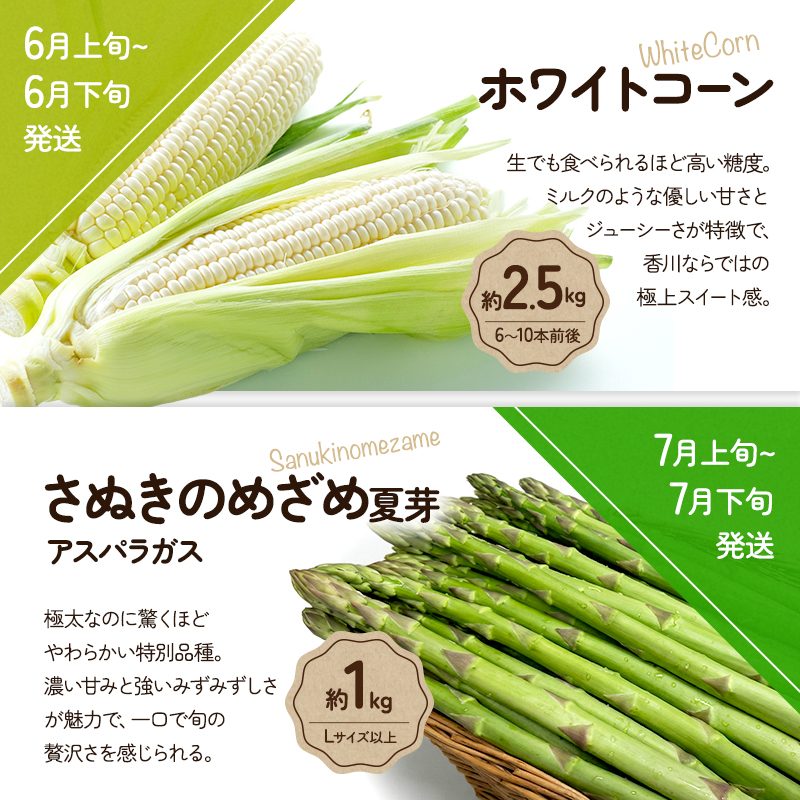 旬のさぬきの野菜定期便（6回）　野菜 定期便 旬 新鮮 食べごろ 季節 ブロッコリー アスパラ ホワイトコーン オクラ ミニトマト 香川県 東かがわ市