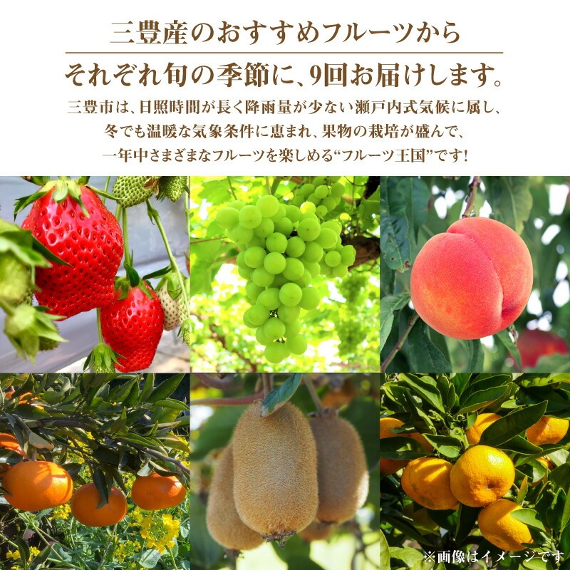 フルーツ王国みとよの特選こだわり9品定期便