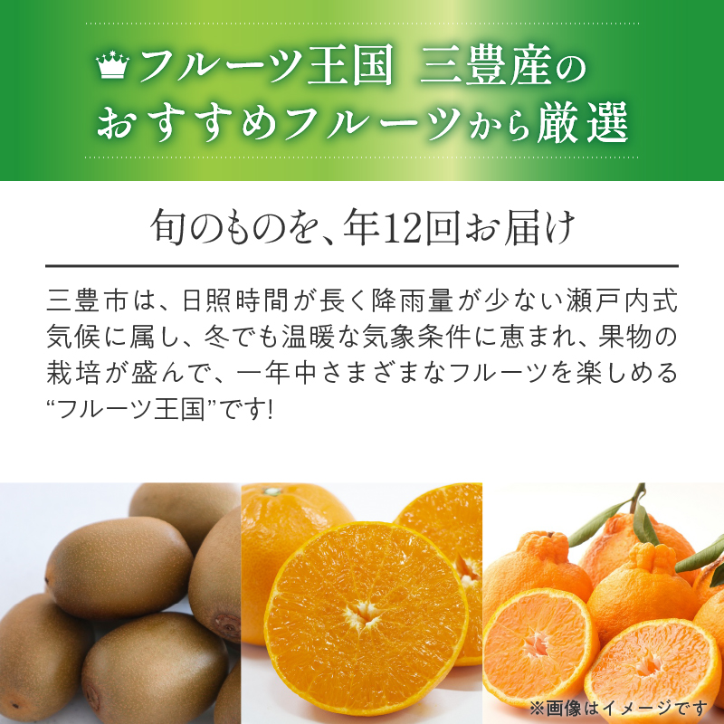 【ふるさと納税】三豊市を家族で味わう定番フルーツ定期便(年12回)コース