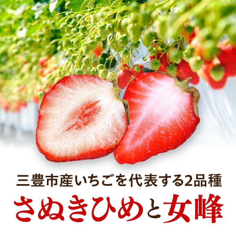 【ふるさと納税】【年内発送】三豊のいちご食べ比べセット 約2kg