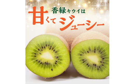 【ふるさと納税】【さぬき讃フルーツ】香緑キウイ(スイート16)約1.3kg化粧箱入り