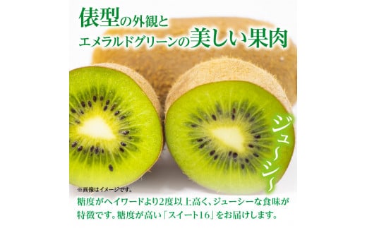 【ふるさと納税】【さぬき讃フルーツ】香緑キウイ(スイート16)約3kg