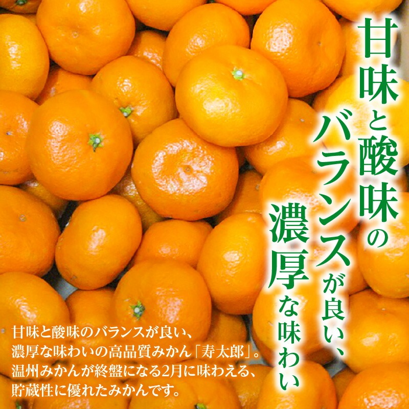 【ふるさと納税】【みとよみかん】 寿太郎みかん 約5kg