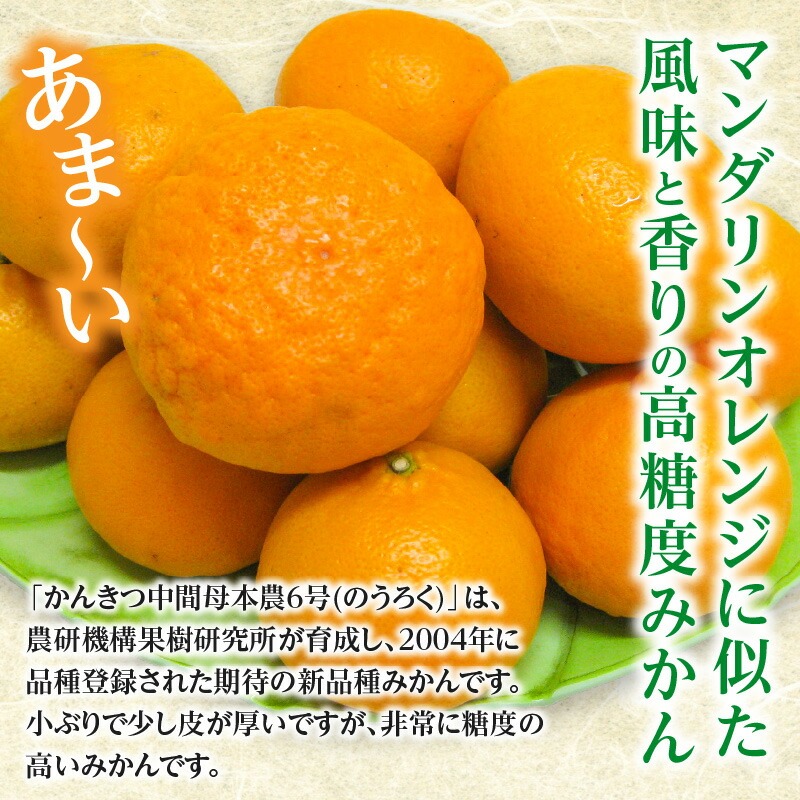 【ふるさと納税】農6号みかん(のうろく)約5kg