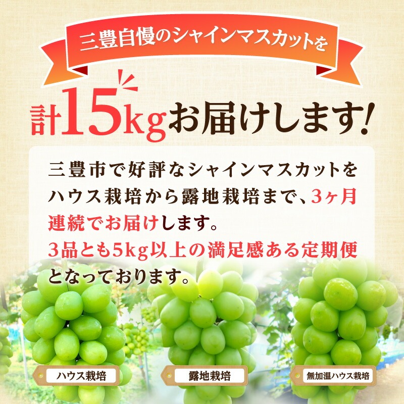 大箱シャインマスカット3ヶ月連続定期便