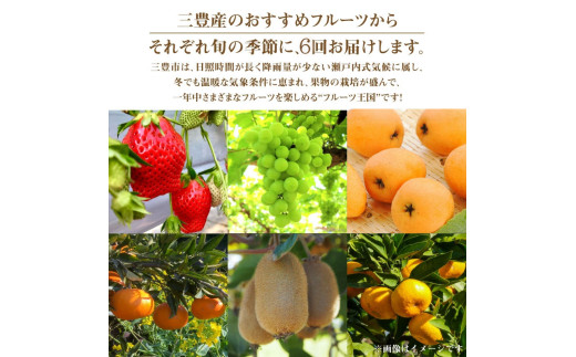 フルーツ王国みとよの特選こだわり6品