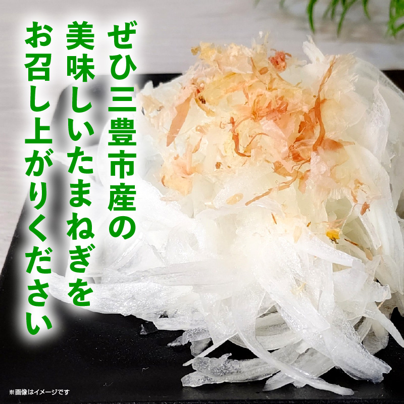 【ふるさと納税】三豊市のたまねぎ　約10kg