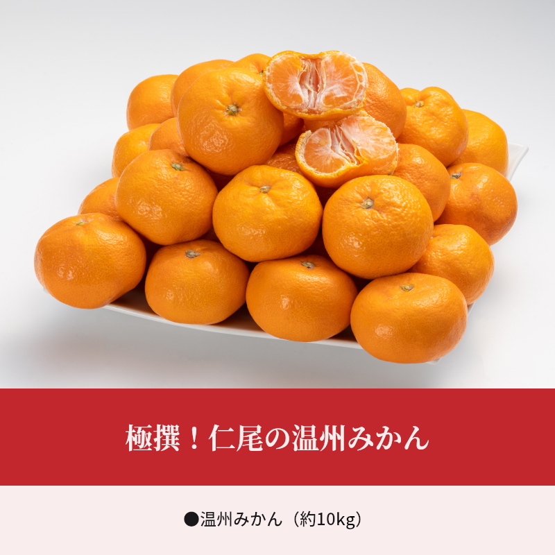 【ふるさと納税】極撰!仁尾の温州みかん(約10kg)