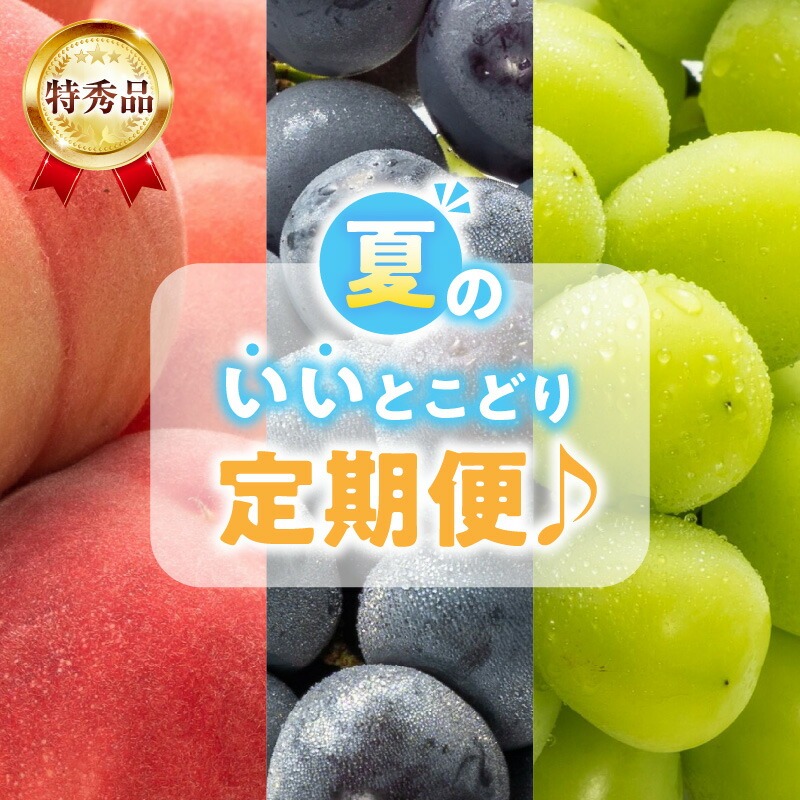 【特秀品!】夏のいいとこどり定期便♪