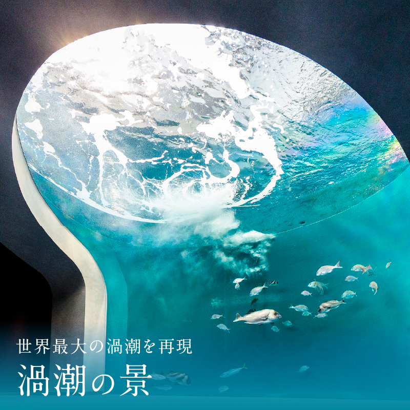 四国水族館ペアチケット