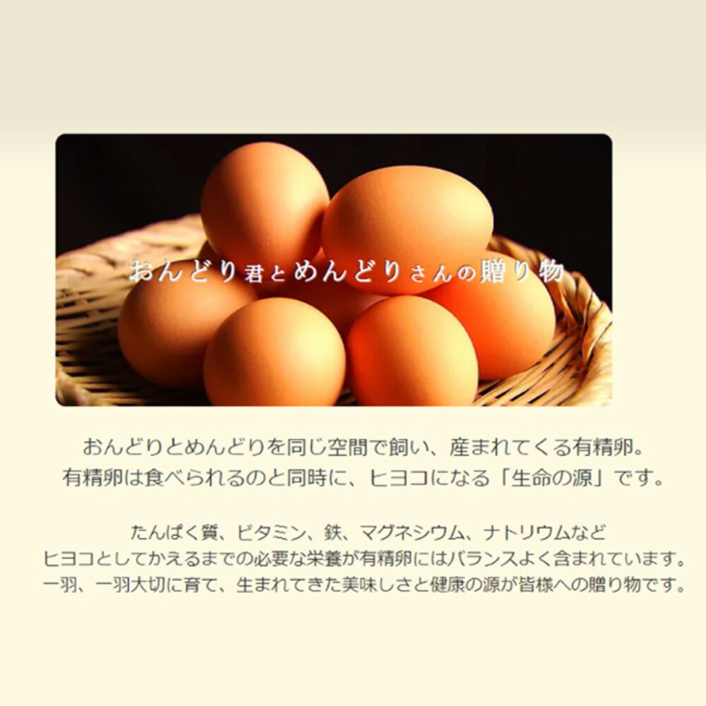 おんどり君とめんどりさんの贈り物(6個入り×8P 計48個)