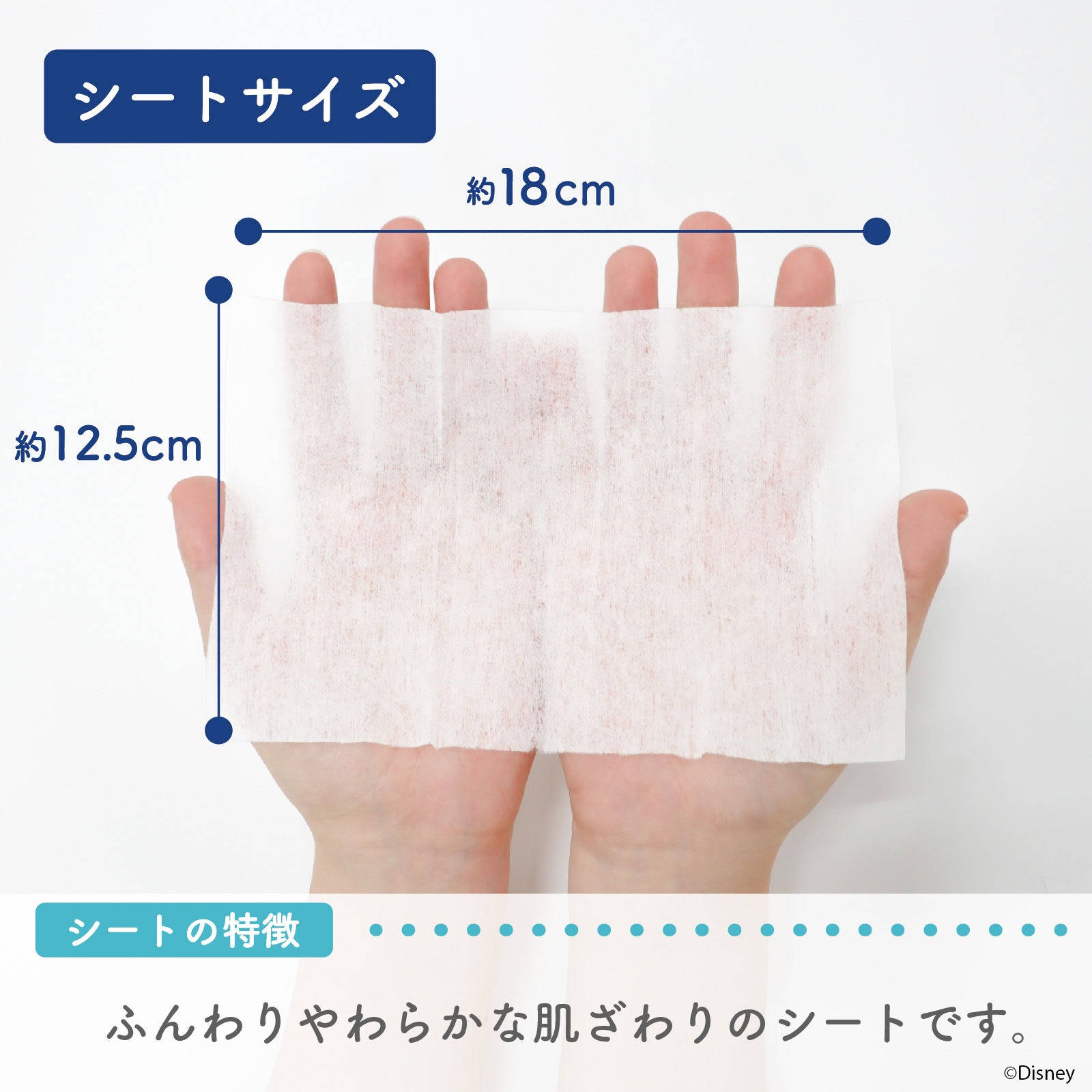 アルコール 除菌シート 55枚×12 アナと雪の女王（エルサ） ディズニー