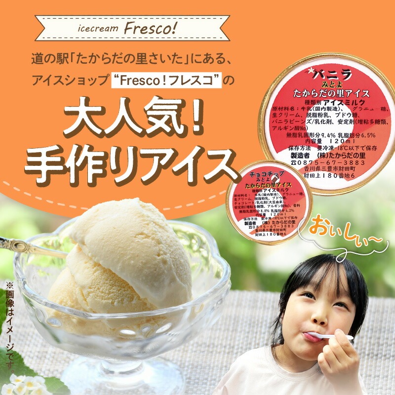 製造直売で人気の手作りアイスクリーム12個セット