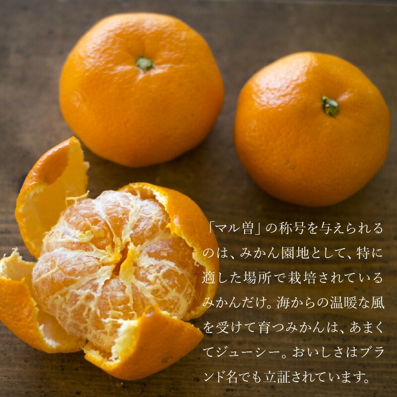 【11/15より発送】三豊市産 極上【マル曽 早生みかん約5kg】S～Mサイズ