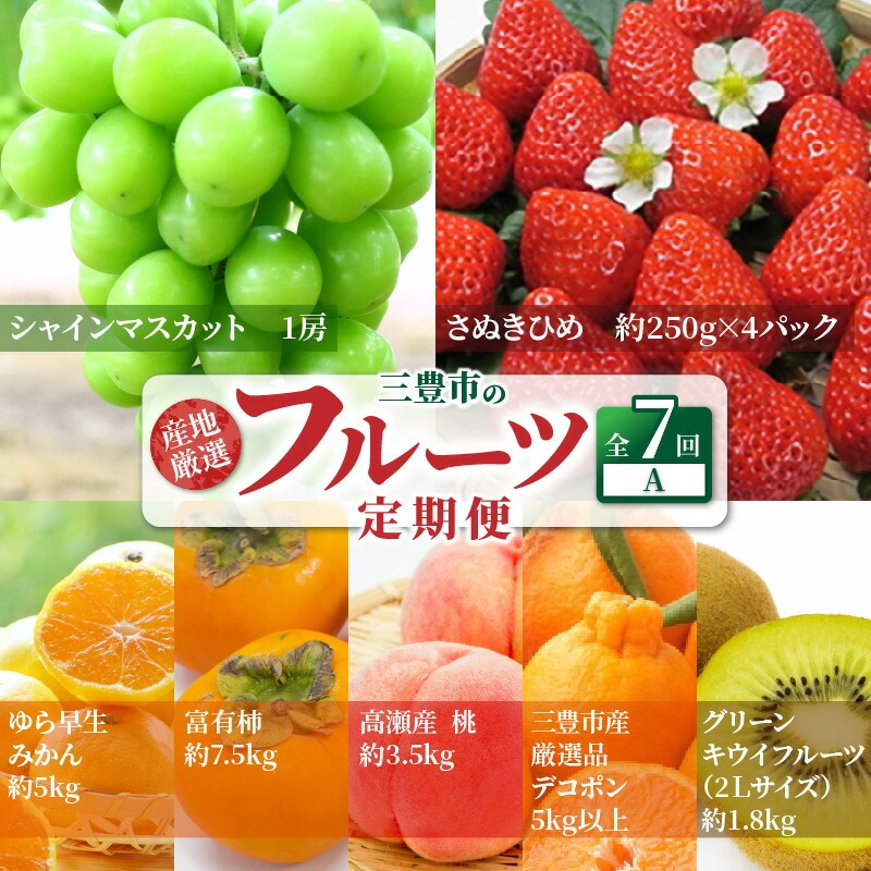 産地厳選三豊のフルーツ7回定期便A