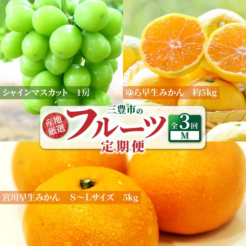 産地厳選三豊のフルーツ3回定期便 M