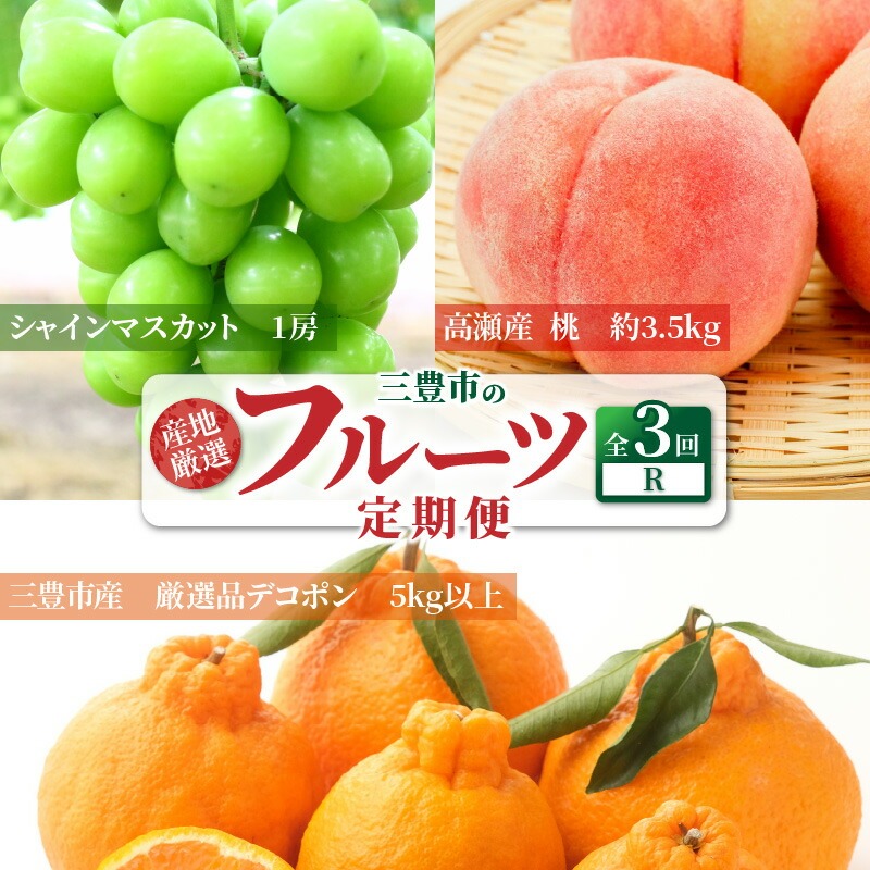 【ふるさと納税】産地厳選三豊のフルーツ3回定期便 R