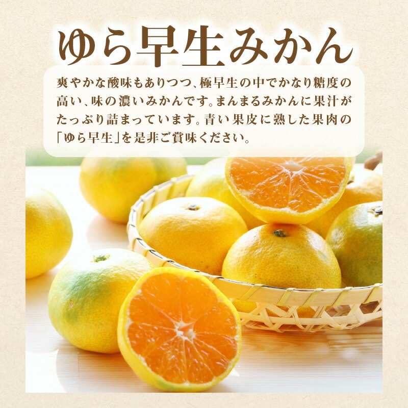 産地厳選三豊のフルーツ4回定期便 H