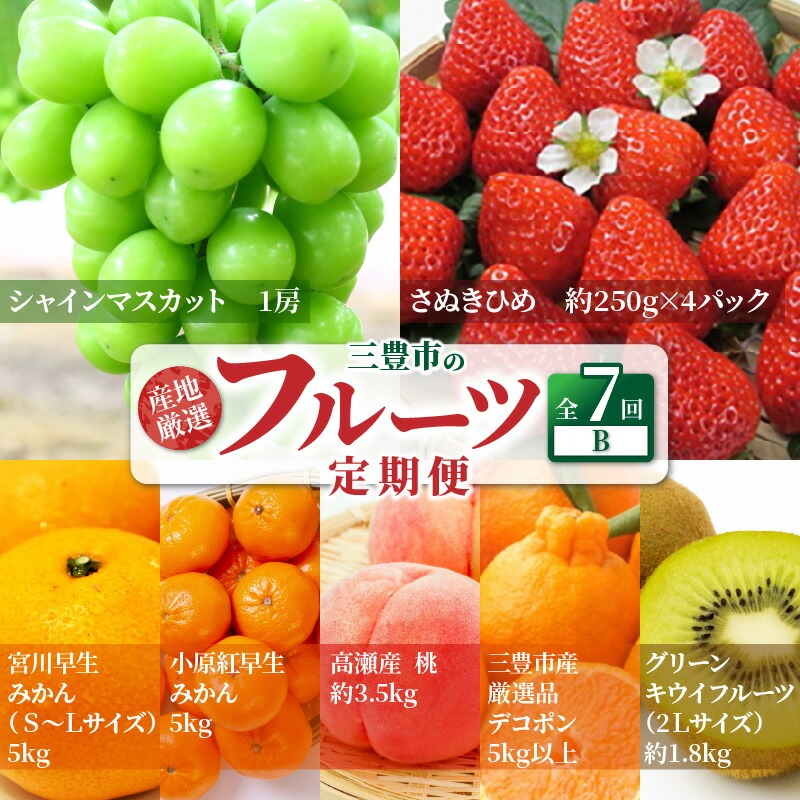 産地厳選三豊のフルーツ7回定期便 B