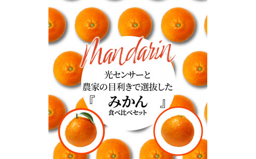 【ふるさと納税】「みとよのみ」みかん食べ比べセット[2回お届け]【2024年出荷分の予約受付】