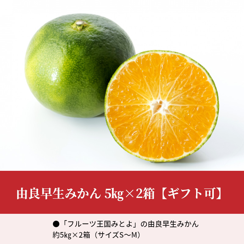 【10月上旬より】由良早生みかん 5kg×2箱【ギフト可】