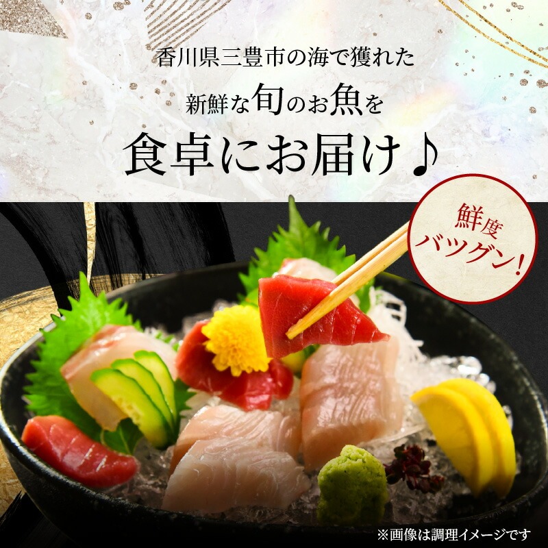 鮮魚詰め合わせ 5～6尾(約2.5kg)