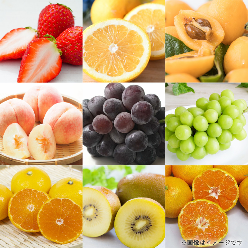 【ふるさと納税】三豊市を家族で味わう定番フルーツ定期便(年12回)コース