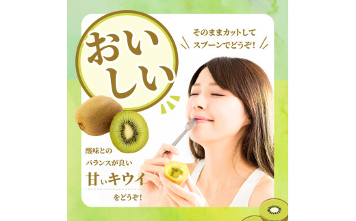 【ふるさと納税】三豊市産 ヘイワードキウイ【大玉】5kg(4L～6Lサイズ 40～35玉前後)
