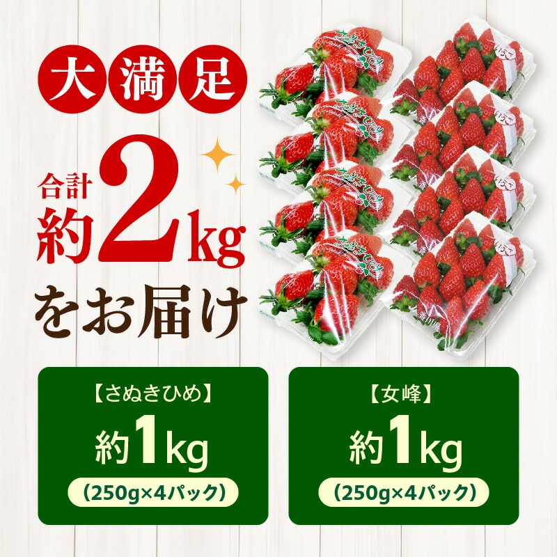 【ふるさと納税】【年内発送】三豊のいちご食べ比べセット 約2kg
