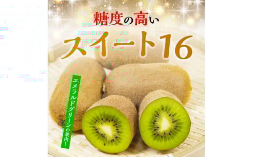 【ふるさと納税】【さぬき讃フルーツ】香緑キウイ(スイート16)約1.3kg化粧箱入り