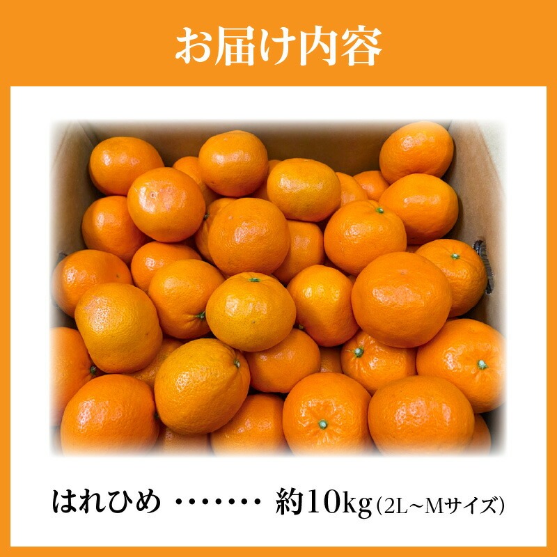 【ふるさと納税】希少な柑橘「はれひめ」約10kg