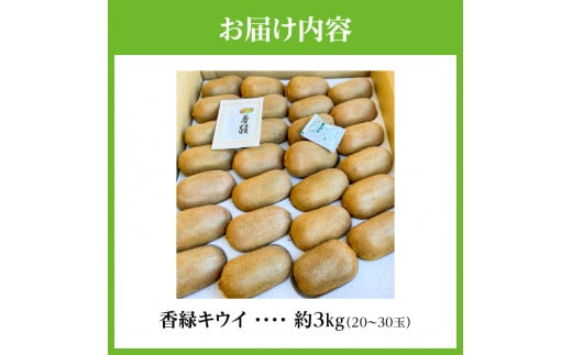 【ふるさと納税】【さぬき讃フルーツ】香緑キウイ(スイート16)約3kg