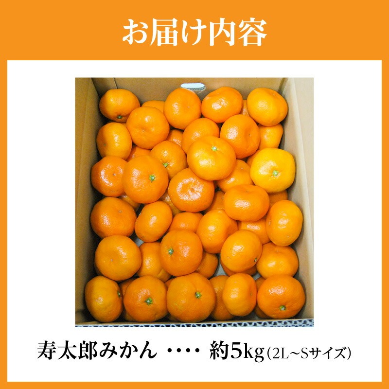 【ふるさと納税】【みとよみかん】 寿太郎みかん 約5kg