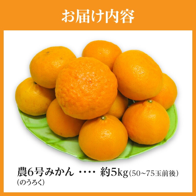 【ふるさと納税】農6号みかん(のうろく)約5kg