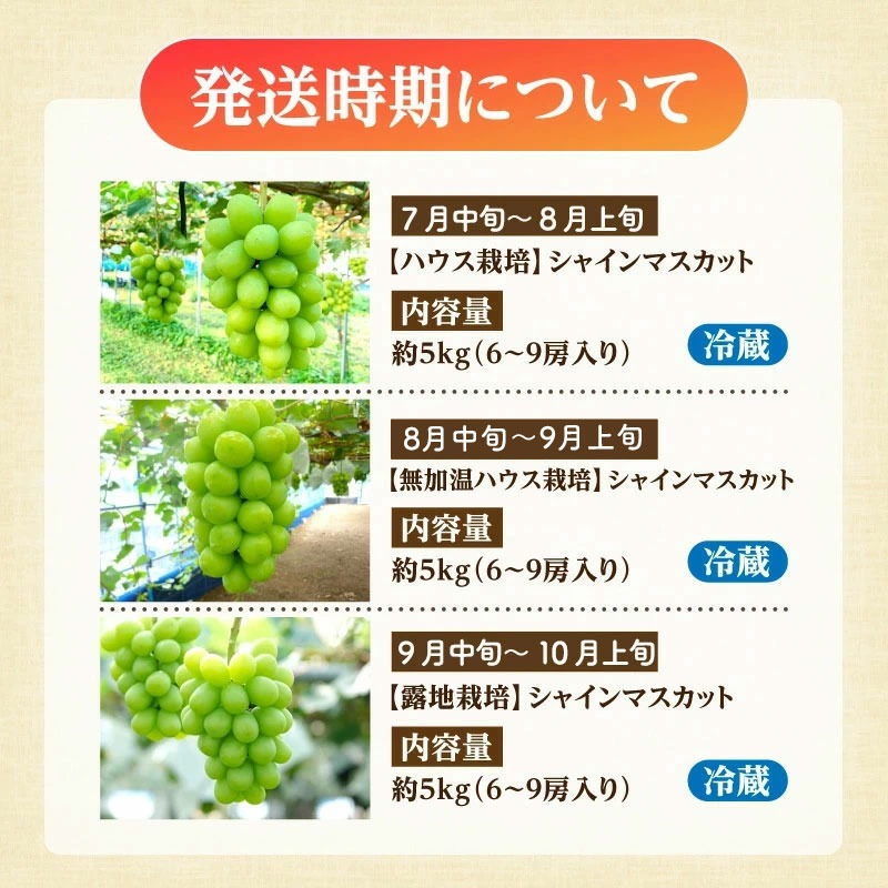 大箱シャインマスカット3ヶ月連続定期便