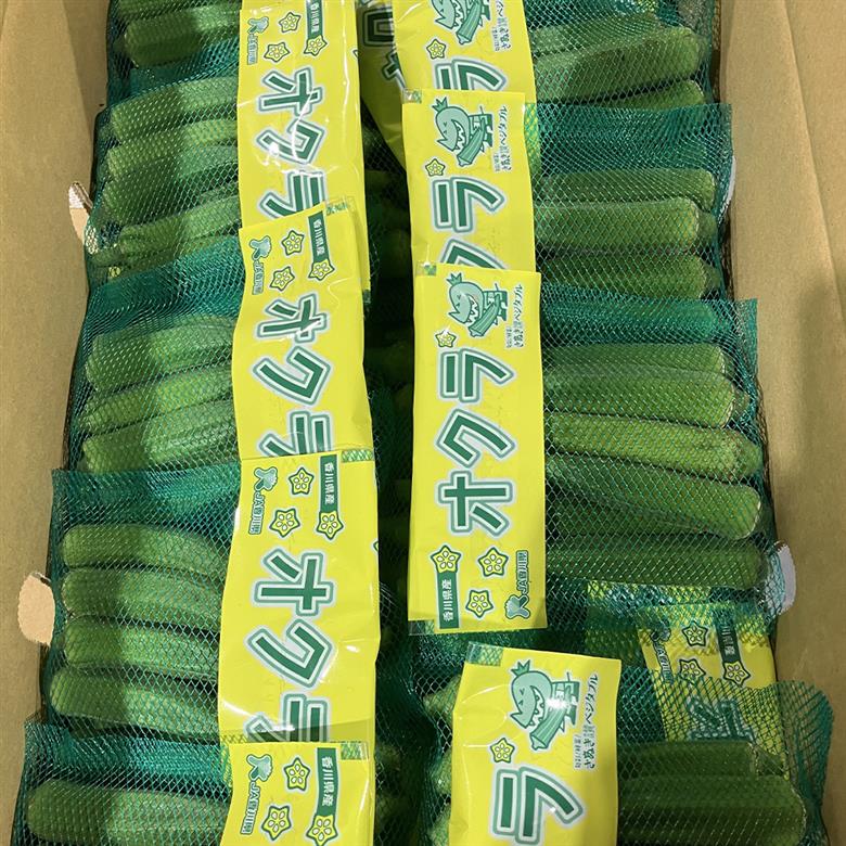 オクラ　約2.1kg