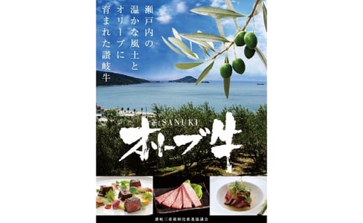 【ふるさと納税】オリーブ牛 ハンバーグ20袋・牛すき丼10袋セット