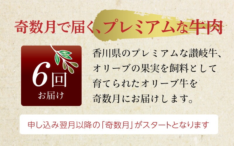 オリーブ牛満喫肉セット(奇数月 全6回)【定期便】